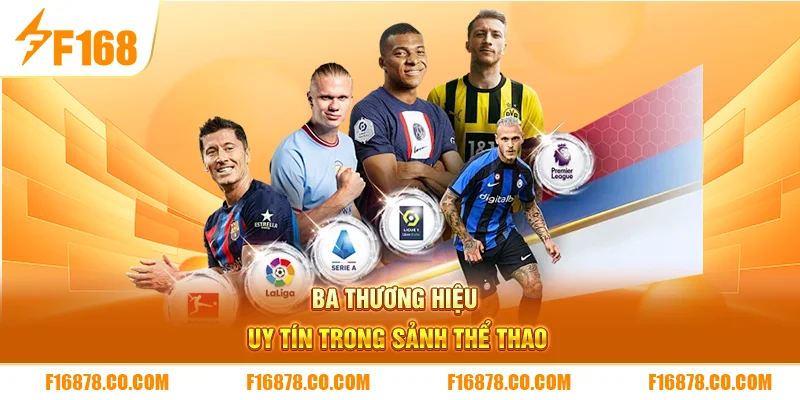 Ba thương hiệu uy tín trong sảnh thể thao 